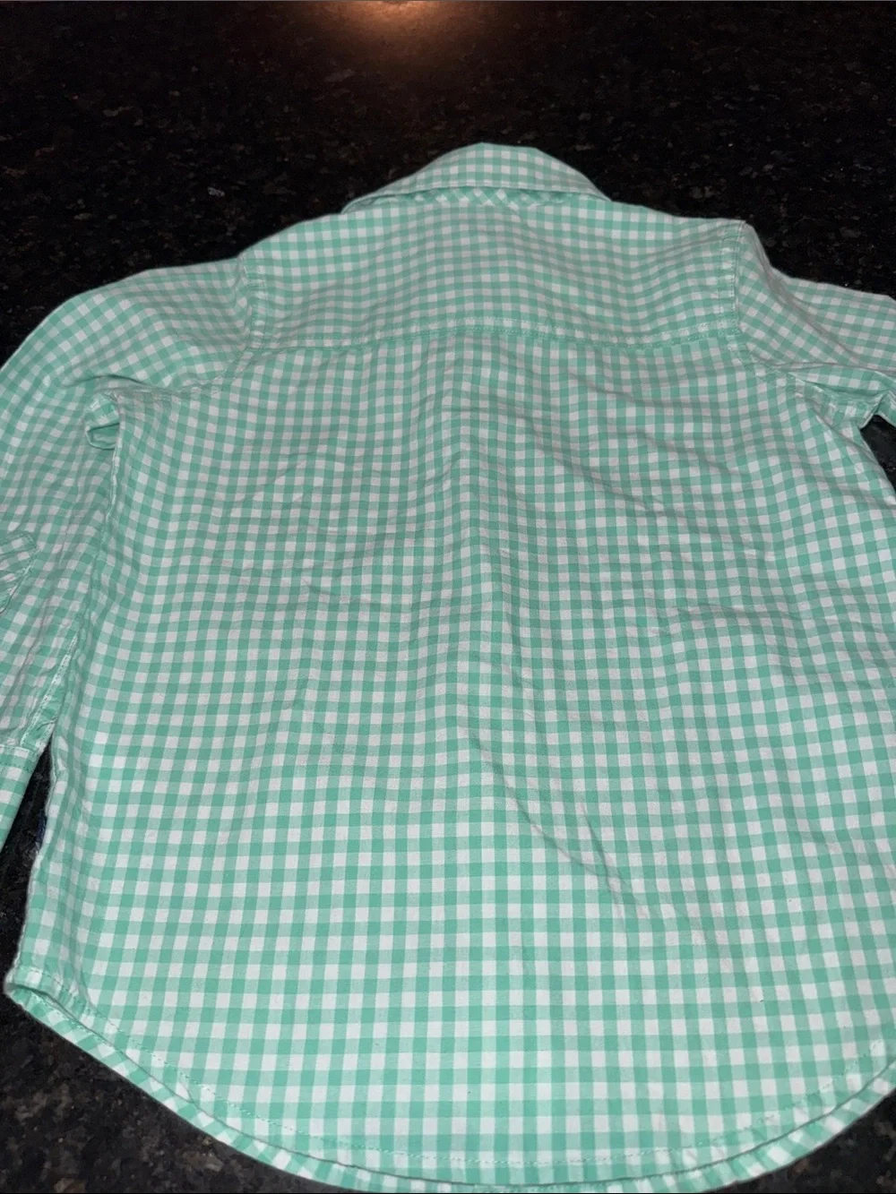 GAP Mint Green Gingham Button-Down Shirt